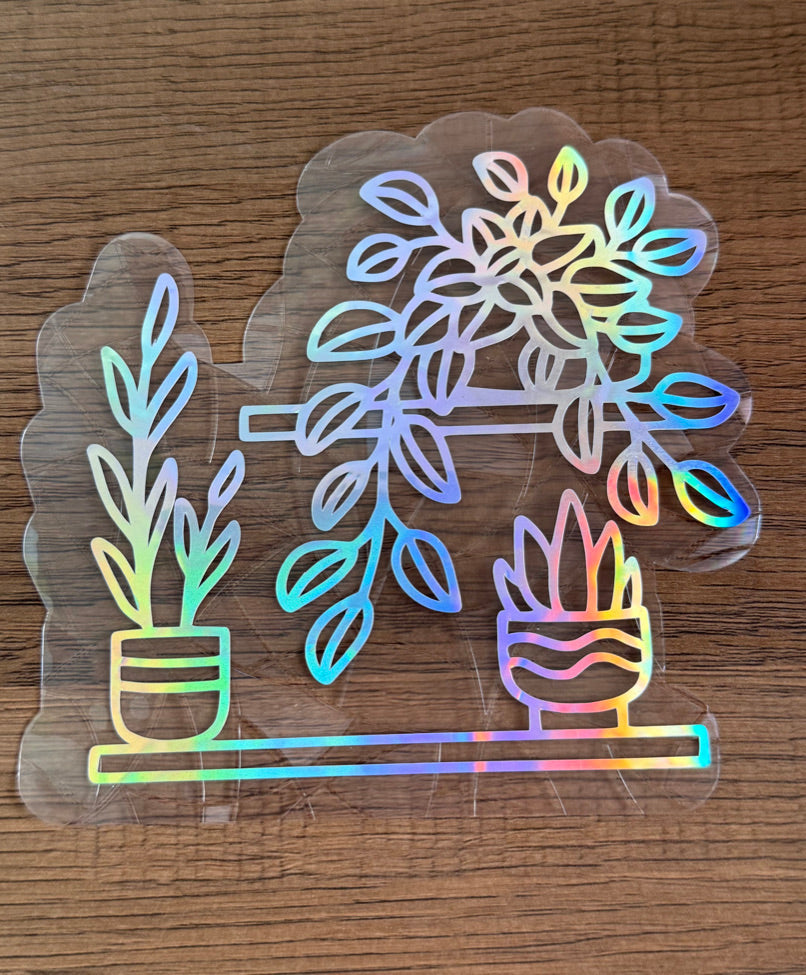 Houseplant rainbow window cling with hanging plants creating colorful prism reflections on a sunny window