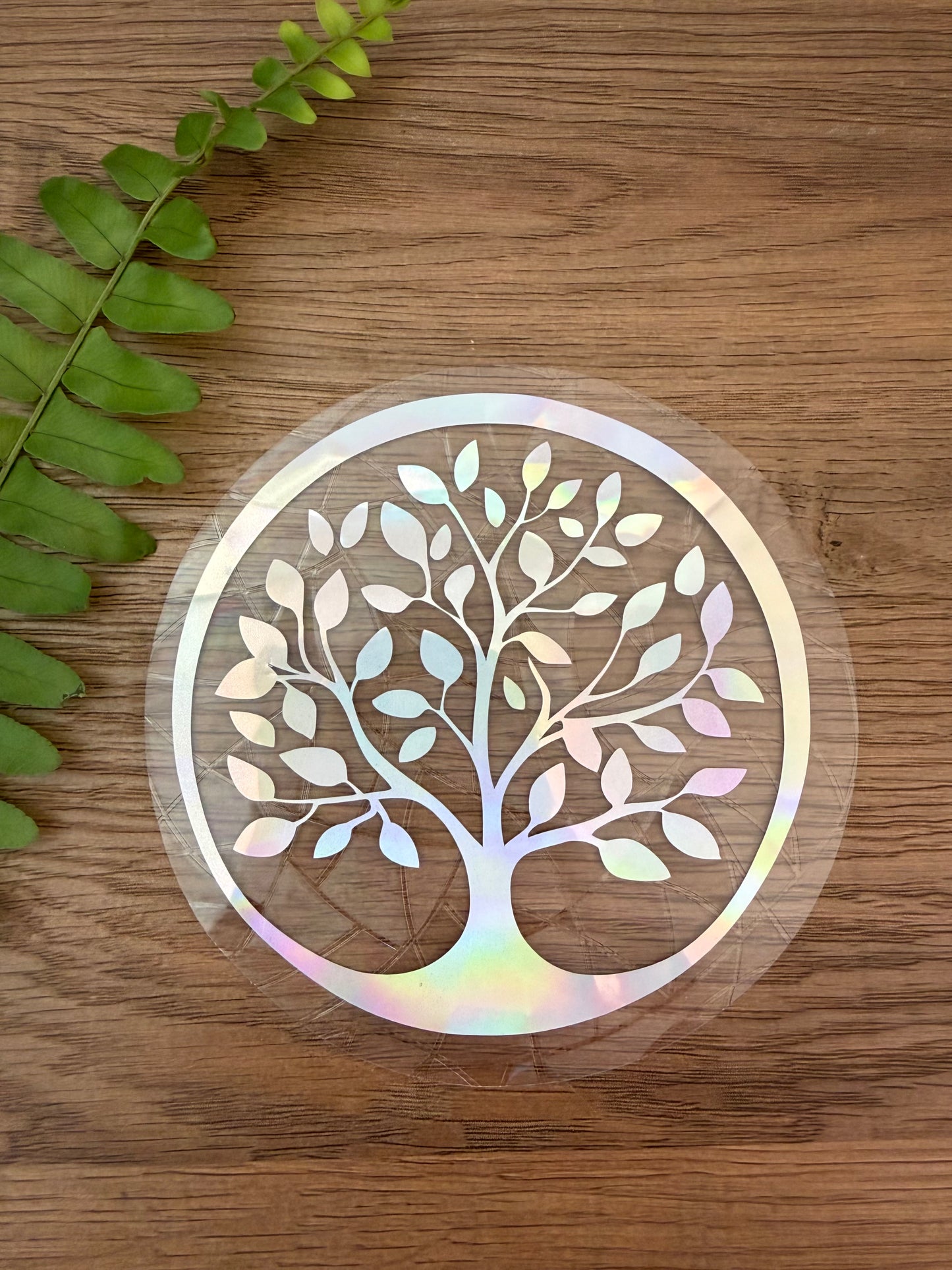 Tree of Life rainbow window cling creating colorful prism reflections on a sunny window.