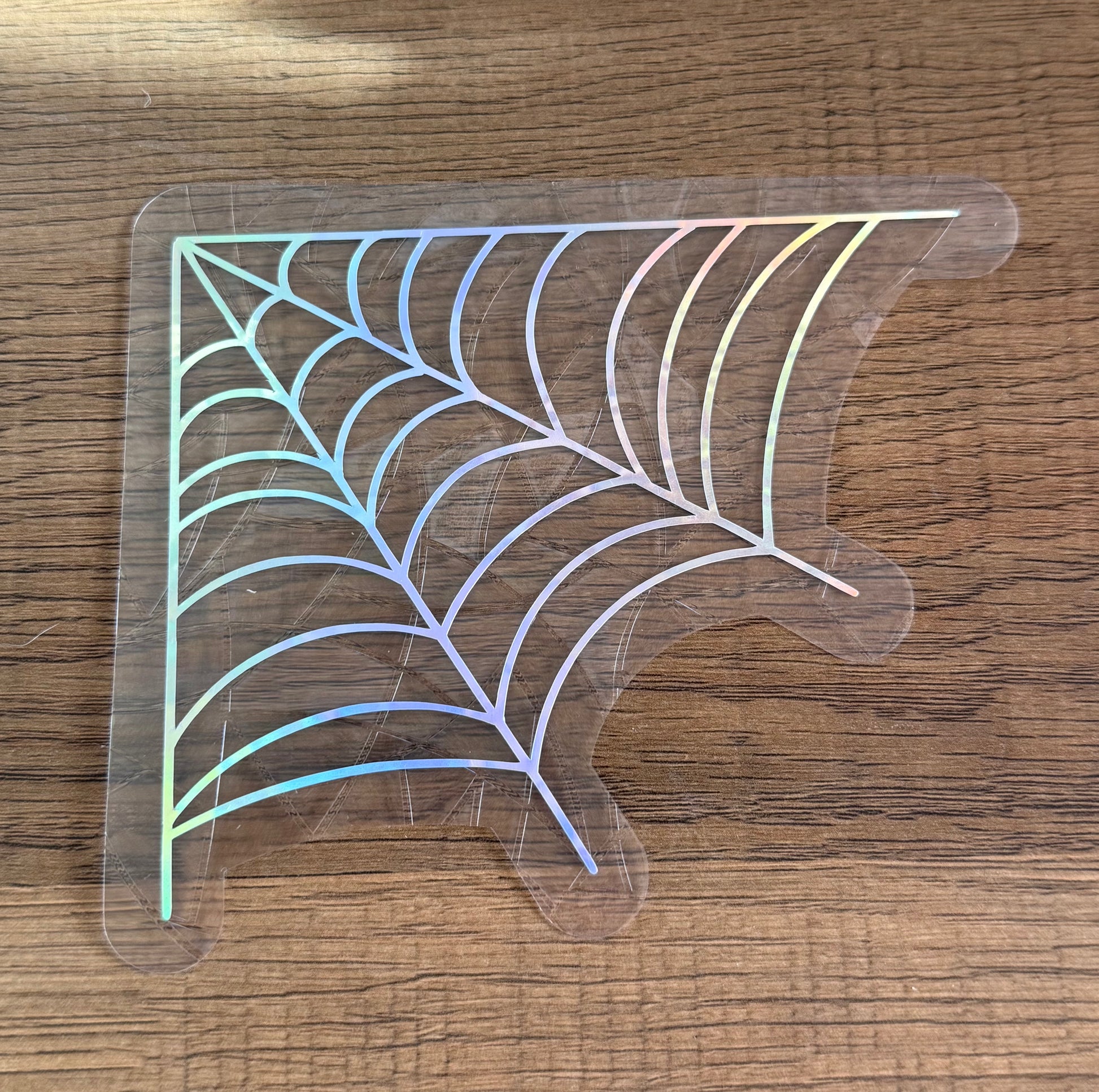 Corner spider web rainbow window cling catching sunlight and creating colorful prism reflections